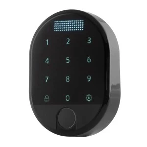 Электронный считыватель DESi Fingerprint доступ по коду и отпечатку пальца, черный (Турция)