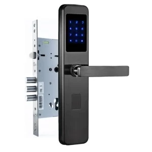 Умный замок с Wi-Fi TTLOCK MASTER черный 